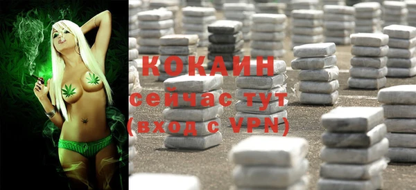 твердый Покачи